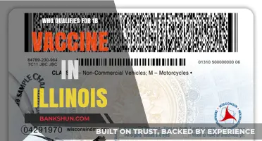 Illinois Vaccine Eligibility: Who Qualifies for the 1b Vaccine?
