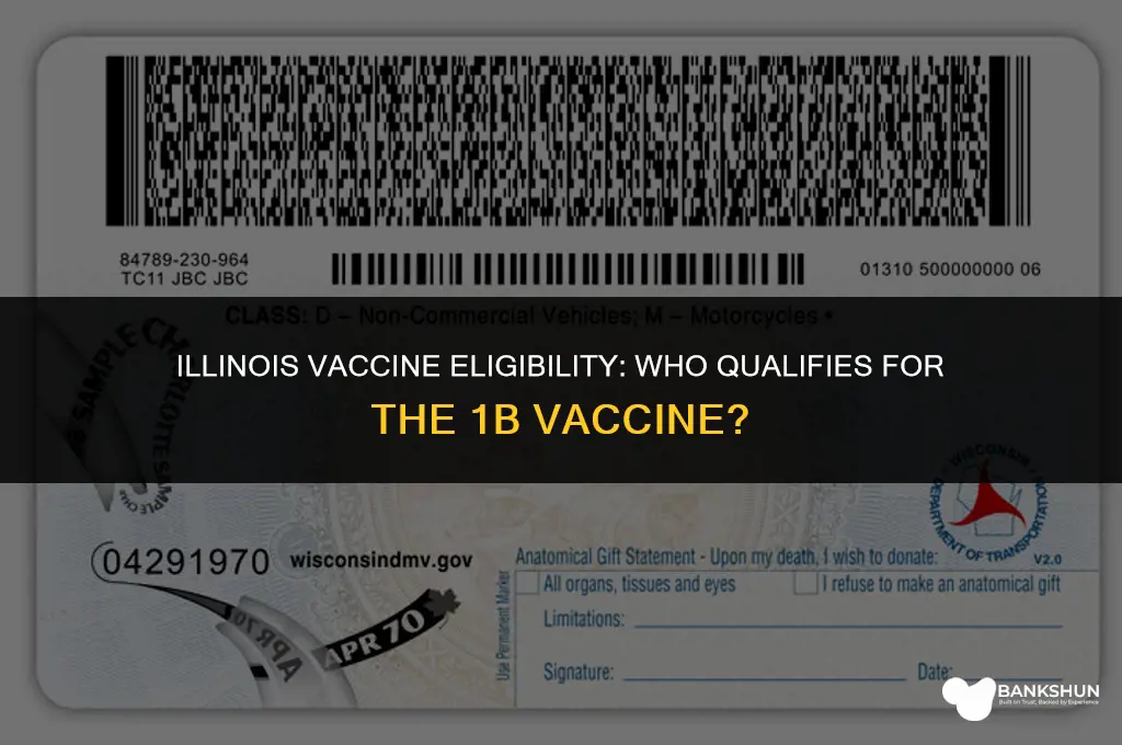 who qualifies for 1b vaccine in illinois