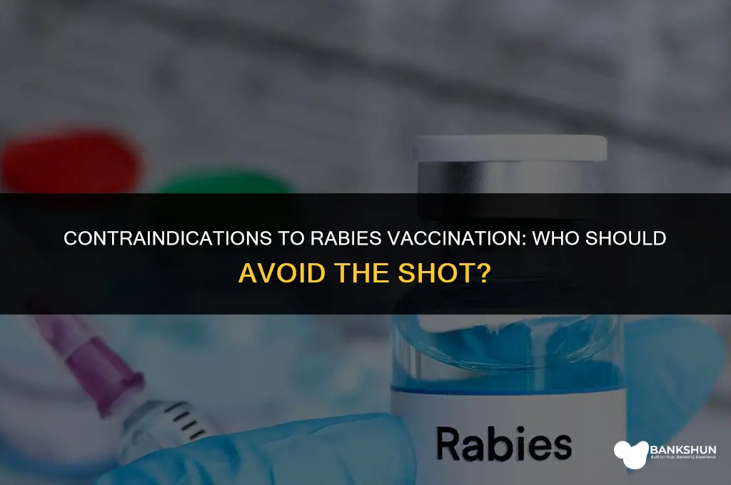 who should not be vaccinated for rabies