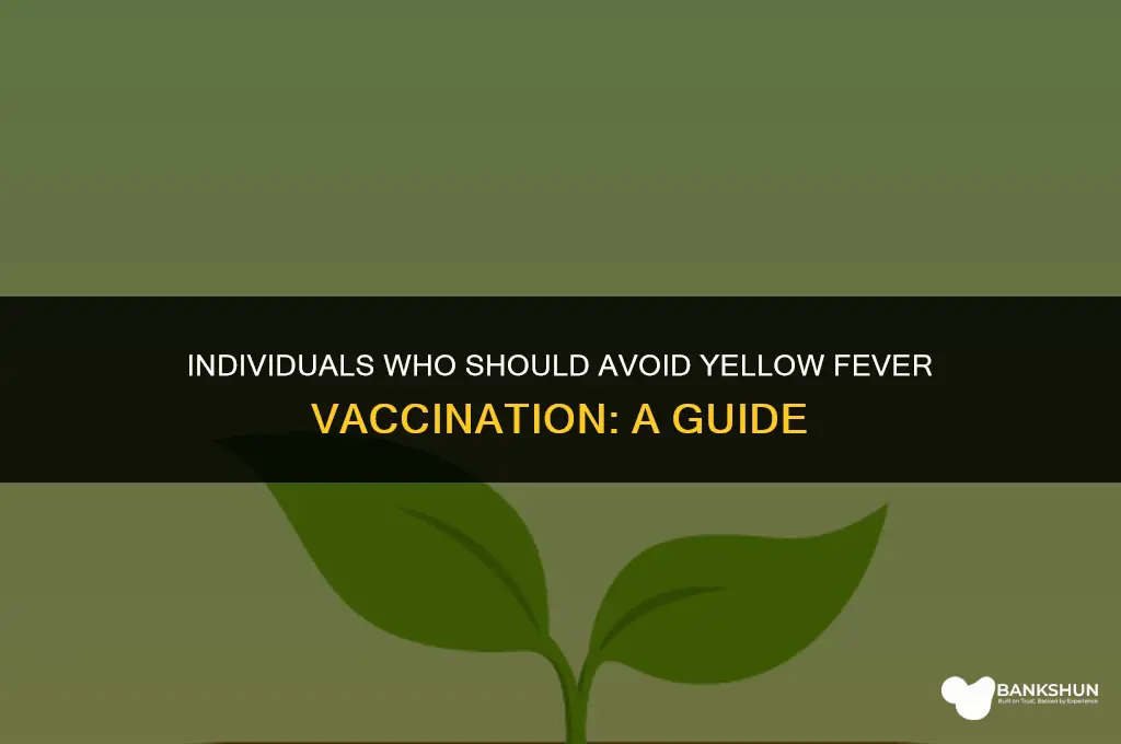 who should not have yellow fever vaccination