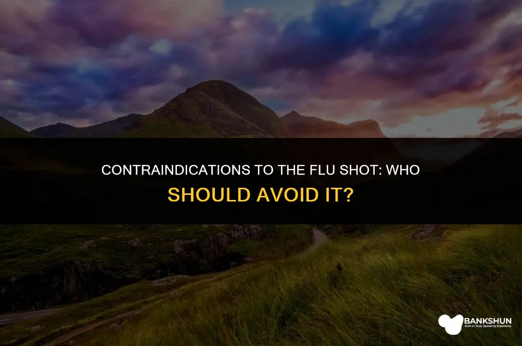 who should not receive the influenza vaccine