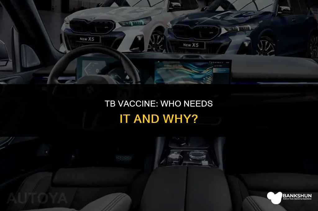 who should receive a vaccine for tb