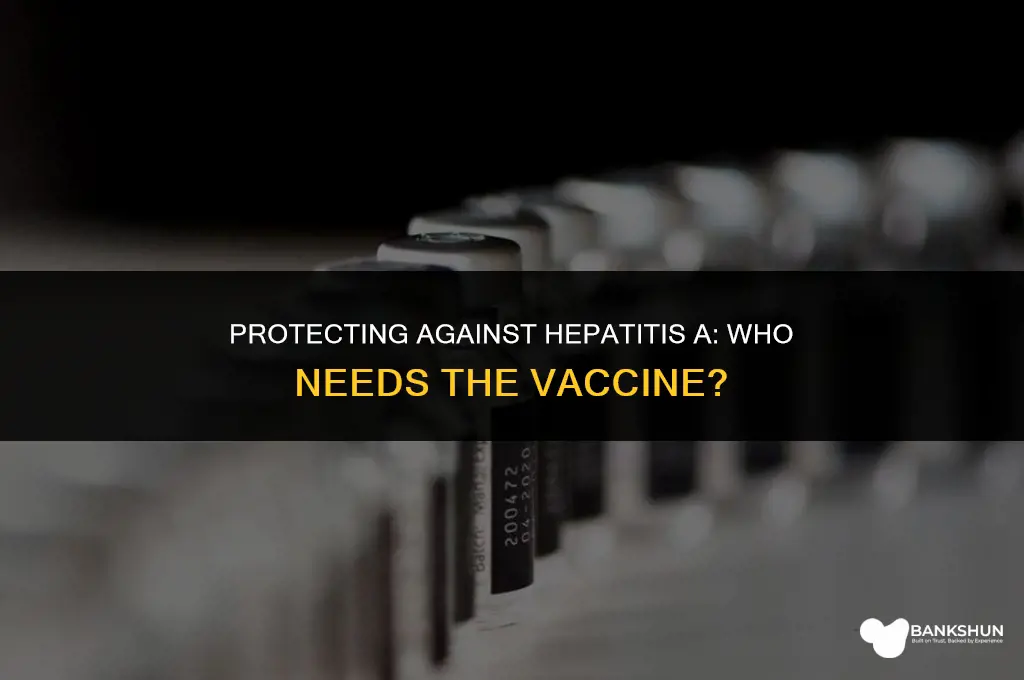who should receive the hepatitis a vaccine