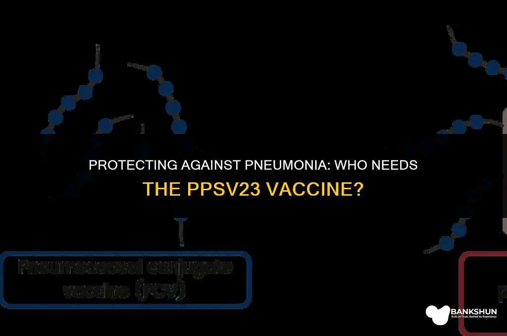 who should receive the pneumococcal vaccine ppsv23