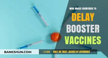 Global Health Leader Urges Delay in Booster Vaccine Rollout