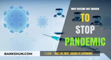 Vaccine Alone Insufficient: Comprehensive Strategies to Combat Pandemics