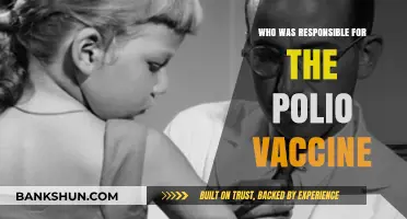 Pioneering Minds Behind the Polio Vaccine: A Historical Breakthrough