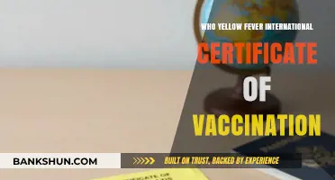 Understanding Yellow Fever Vaccination Certificates for International Travel