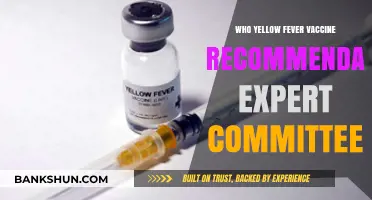 Expert Panel's Yellow Fever Vaccine Recommendations: A Comprehensive Guide