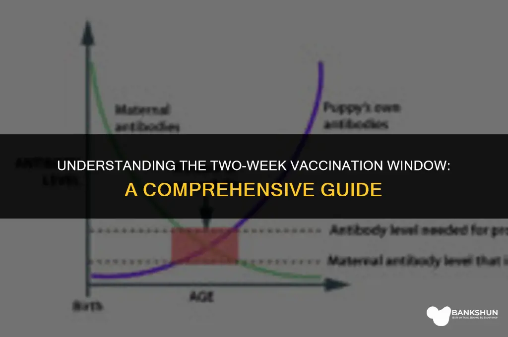 why 2 weeks to be fully vaccinated