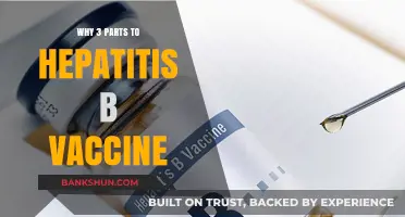 Understanding the Hepatitis B Vaccine: A Comprehensive Guide
