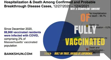 Vaccinated Yet Vulnerable: Unraveling the Paradox of Breakthrough Infections