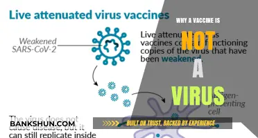 Debunking Myths: Vaccines vs. Viruses - The Science Explained