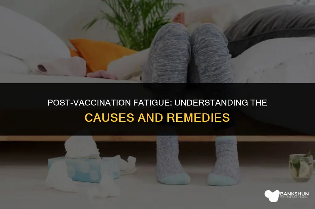 why am i feeling sleepy after vaccination