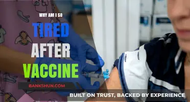 Post-Vaccine Fatigue: Understanding the Causes and Finding Relief
