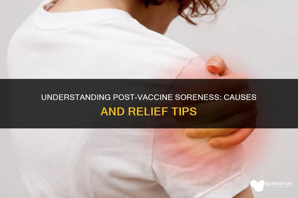 why am i sore after a vaccine