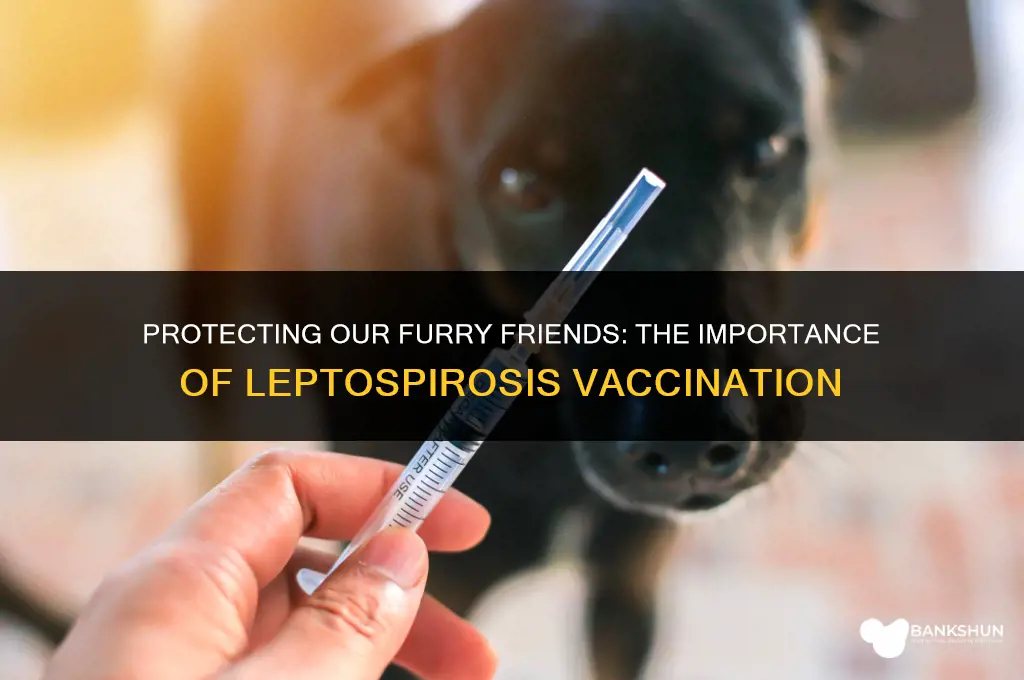 why animals should be vaccinated for leptospirosis