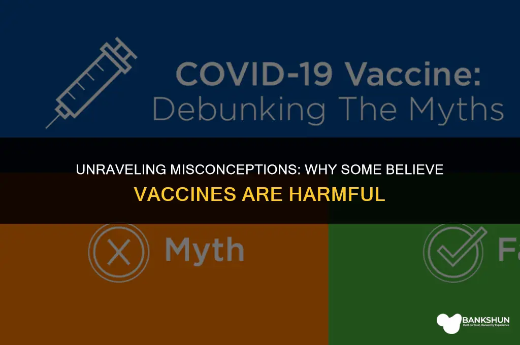 why anti-vaxers believe vaccines are harmful