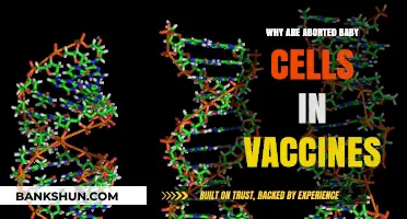 Unraveling Misconceptions: The Truth About Aborted Cells in Vaccines