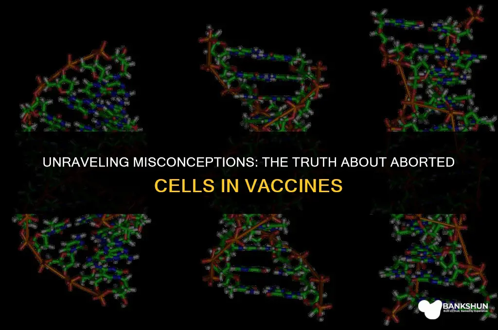 why are aborted baby cells in vaccines
