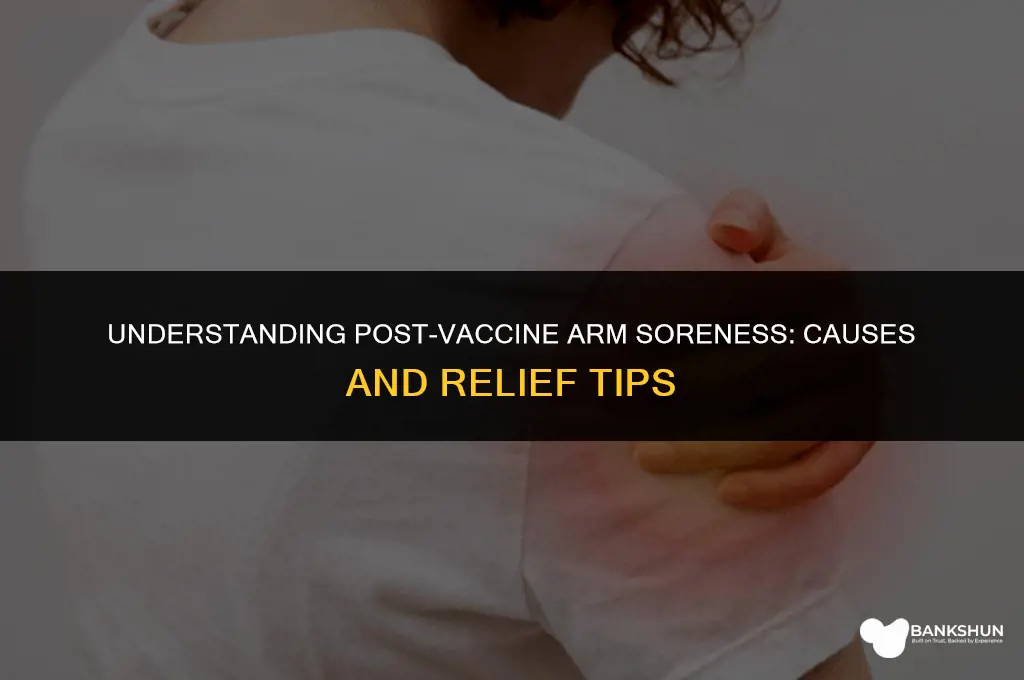 why are arms so sore after vaccine