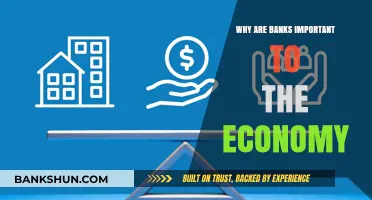 Banks: Economy's Lifeline and Growth Engine