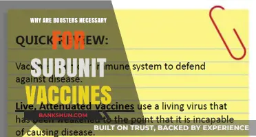 Unleashing the Power of Subunit Vaccines: The Booster Imperative