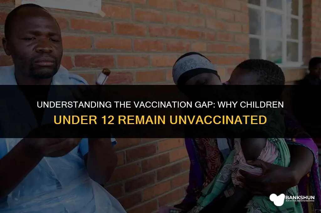 why are children under 12 not vaccinated