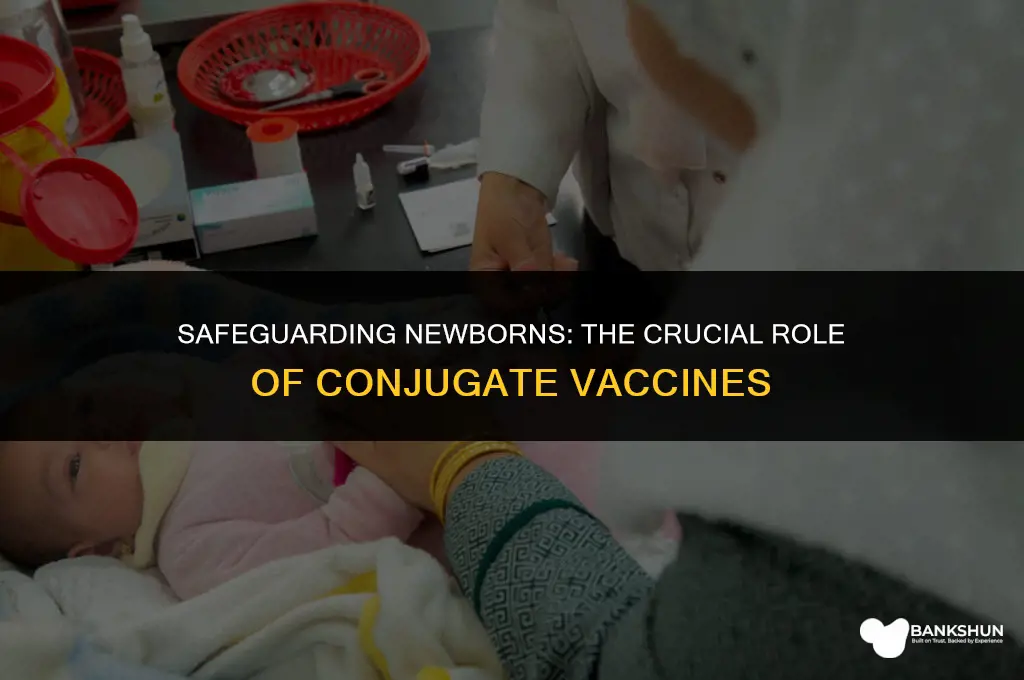 why are conjugate vaccines important to newborns