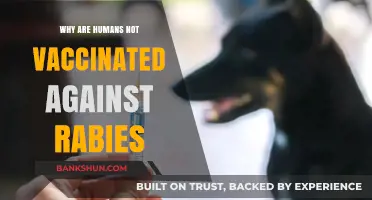 Understanding the Gap: Why Humans Aren't Vaccinated Against Rabies