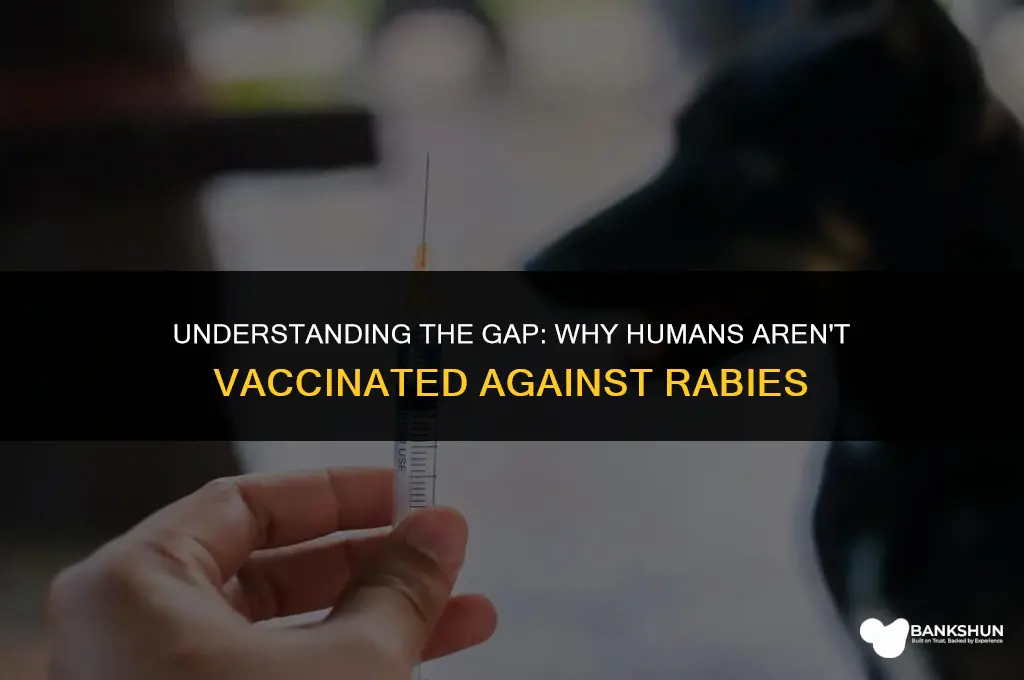 why are humans not vaccinated against rabies