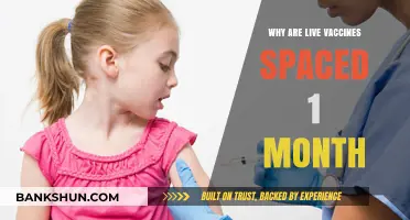 Understanding the Science Behind Live Vaccine Spacing: A Month-Long Wait?