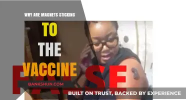 Unraveling the Mystery: Why Magnets Stick to COVID-19 Vaccines