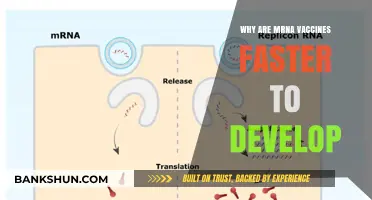 Revolutionizing Vaccine Development: The mRNA Advantage Explained