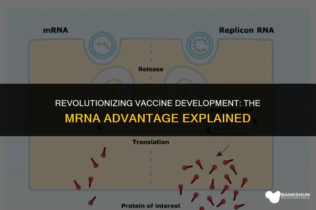 why are mrna vaccines faster to develop