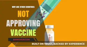 Global Vaccine Hesitancy: Understanding the Reasons Behind Approval Delays
