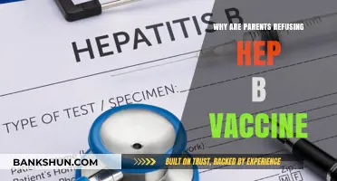 Understanding Parental Concerns: The Hepatitis B Vaccine Debate