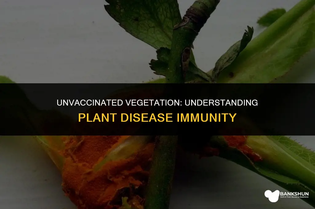why are plants not vaccinated against diseases
