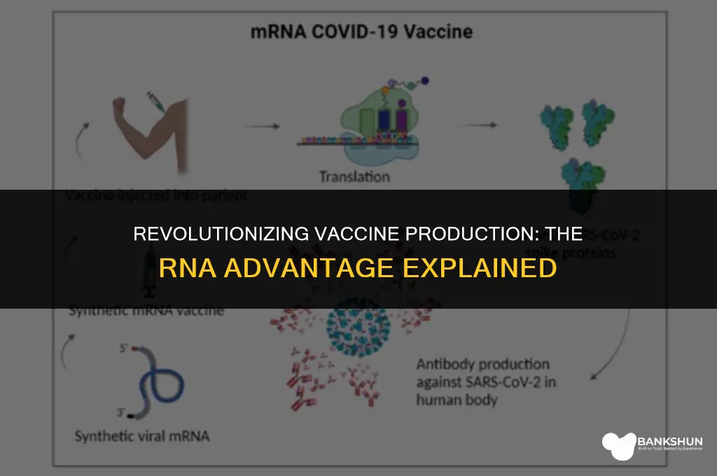 why are rna vaccines faster to produce