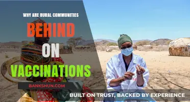 Bridging the Gap: Understanding Rural Vaccination Challenges