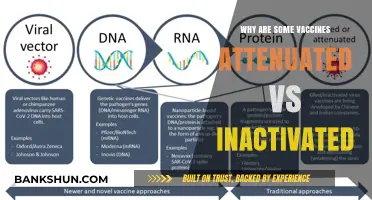 Understanding Vaccine Types: Attenuated vs Inactivated - What's the Difference?