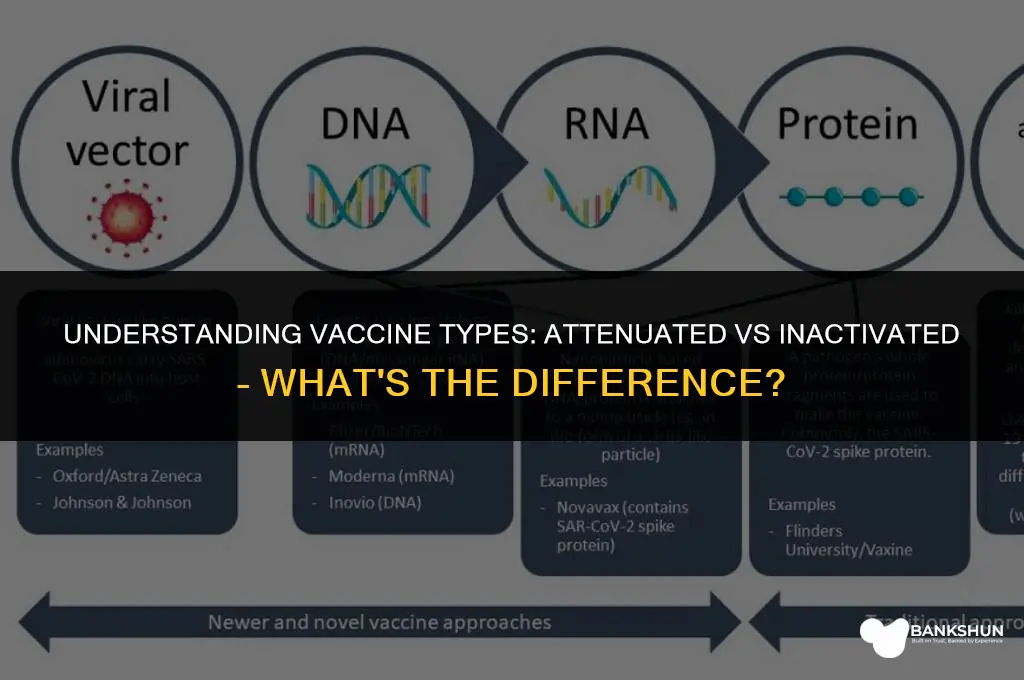 why are some vaccines attenuated vs inactivated