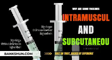 Decoding Vaccine Administration: Intramuscular vs. Subcutaneous