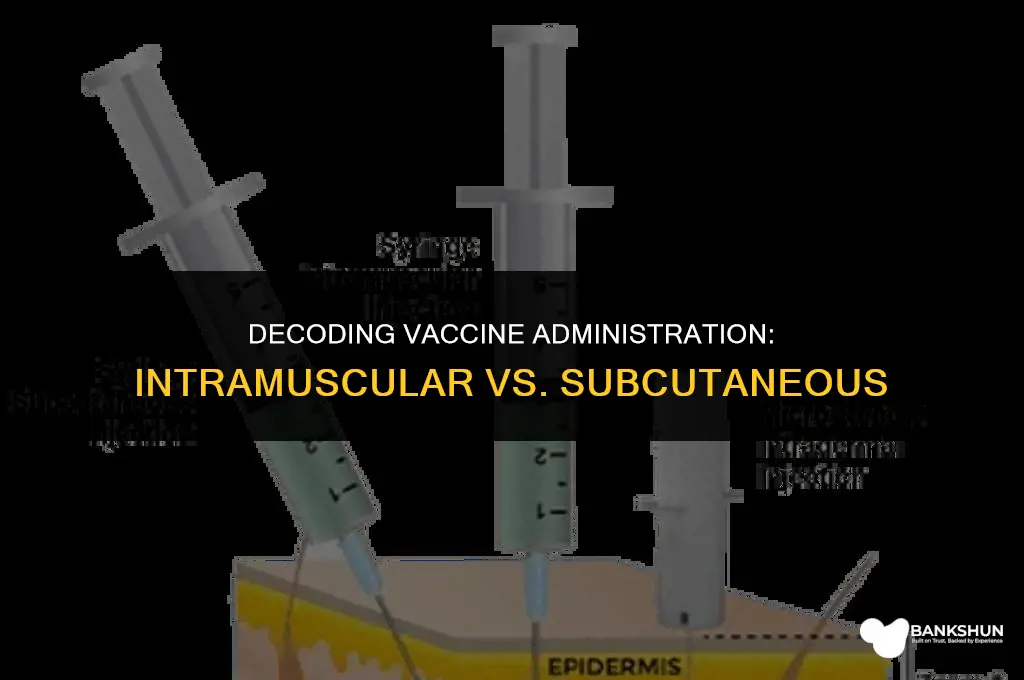 why are some vaccines intramuscular and subcutaneous