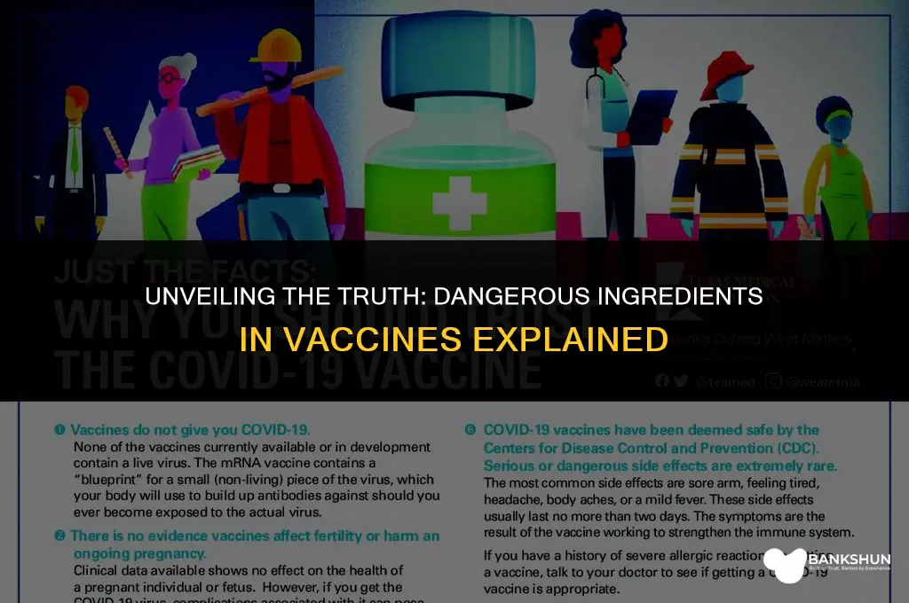 why are there dangerous ingredients in vaccines