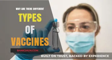 Decoding Diversity: The Science Behind Different Types of Vaccines
