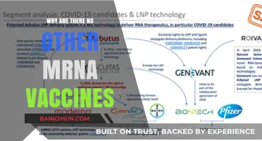 Exploring the mRNA Vaccine Landscape: Why Are There No Other mRNA Vaccines?