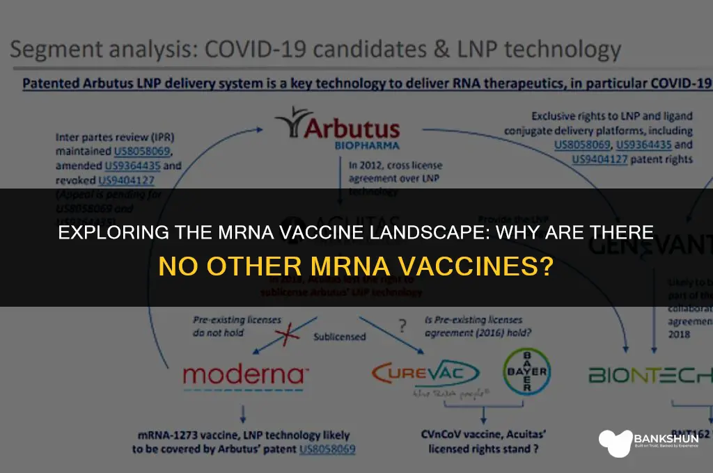 why are there no other mrna vaccines