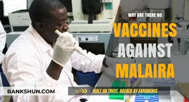 Decoding the Complex Challenge: Why Malaria Vaccines Remain Elusive