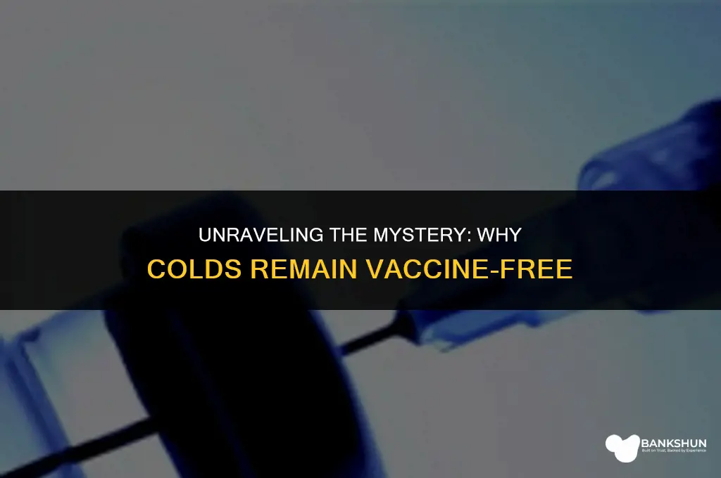 why are there no vaccines for colds